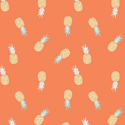 Art gallery fabrics - Path to Discovery - Ananas - Layercake patchwork - AGF