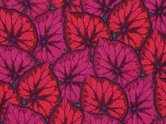 Begonis Leaves - pink read - rød lilla begonia blade. Philip Jacobs design.